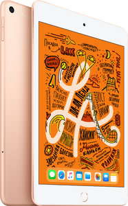 Apple iPad Mini 5 Wi-Fi 64GB Gold (MUQY2RU/A)