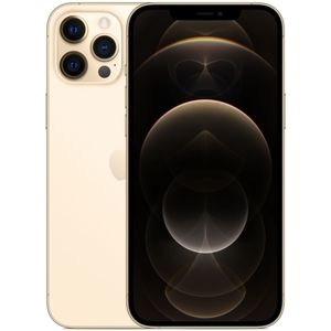 Apple iPhone 12 Pro Max 128GB Gold (MGD93RU/A)