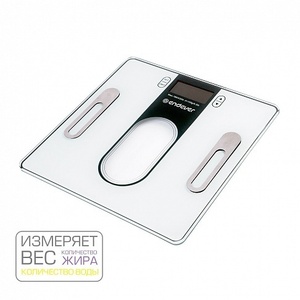 Весы Endever Aurora-553